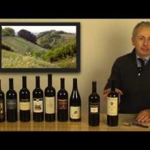 La storia di una collina che per amore del suo vino ha voluto diventare un'isola