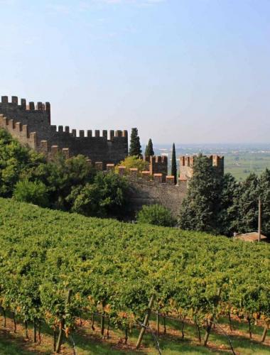 Castello di Soave