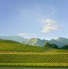 Marlborough - New Zealand
